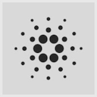cardano foundation