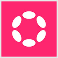 polkadot network
